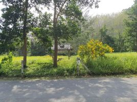  Land for sale in Nai Yang Beach, Sakhu, Sakhu