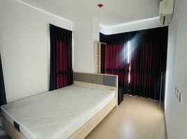 2 Schlafzimmer Wohnung zu vermieten im The Tree Sukhumvit 71-Ekamai, Suan Luang, Suan Luang