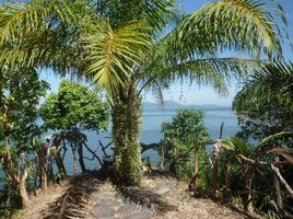  Grundstück zu verkaufen in Mueang Ranong, Ranong, Ngao