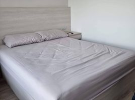 Studio Wohnung zu verkaufen im Dusit D2 Residences, Nong Kae, Hua Hin, Prachuap Khiri Khan