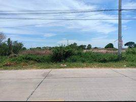  Land for sale in Bang Phriang, Bang Bo, Bang Phriang