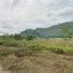  Land for sale in Nakhon Ratchasima, Nong Nam Daeng, Pak Chong, Nakhon Ratchasima