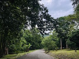  Land for sale in Chiang Mai, Ban Pong, Hang Dong, Chiang Mai