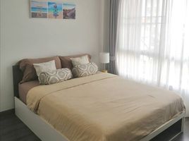 1 Schlafzimmer Appartement zu vermieten im D Vieng Santitham, Chang Phueak, Mueang Chiang Mai