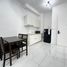 Studio Penthouse for rent at Tanah Rata, Tanah Rata, Cameron Highlands, Pahang, Malaysia