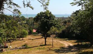 N/A Land for sale in Wichit, Phuket 