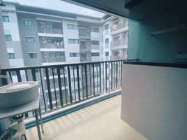 2 Bedroom Condo for rent at The Link Vano Sukhumvit 64, Bang Chak