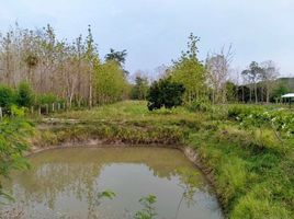  Grundstück zu verkaufen in Mueang Lampang, Lampang, Phichai