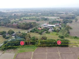  Grundstück zu verkaufen in San Kamphaeng, Chiang Mai, Rong Wua Daeng