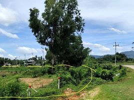  Land for sale in Thep Krasattri, Thalang, Thep Krasattri