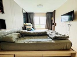 1 Schlafzimmer Wohnung zu vermieten im Elio Del Ray, Bang Chak