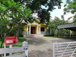 3 Schlafzimmer Haus zu vermieten in Han Teung Chiang Mai ( @Chiang Mai ), Suthep, Suthep