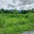  Land for sale in Mae Rim Chiang Mai, Don Kaeo, Mae Rim, Chiang Mai