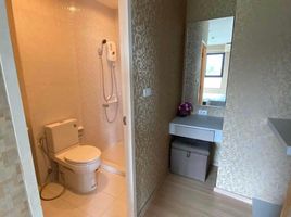 1 Bedroom Apartment for rent at Zcape I, Choeng Thale, Thalang
