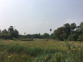  Land for sale in Ang Thong, Talat Kruat, Mueang Ang Thong, Ang Thong