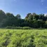  Land for sale in Huai Sai, Chiang Mai, Huai Sai, Mae Rim