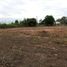  Land for sale in Mueang Phitsanulok, Phitsanulok, Hua Ro, Mueang Phitsanulok