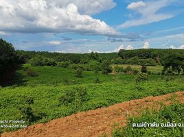  Land for sale in Mae Khao Tom, Mueang Chiang Rai, Mae Khao Tom