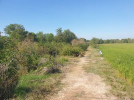  Land for sale in Mueang Chachoengsao, Chachoengsao, Sothon, Mueang Chachoengsao