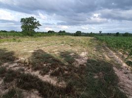  Grundstück zu verkaufen in Khanu Woralaksaburi, Kamphaeng Phet, Wang Chaphlu