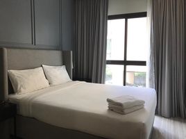 1 Schlafzimmer Wohnung zu vermieten im Dlux Condominium , Chalong, Phuket Town