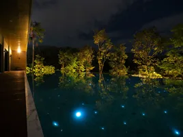 5 Bedroom Villa for rent in Patong, Phuket, Patong, Kathu, Phuket