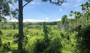 N/A Land for sale in Lo Yung, Phangnga 