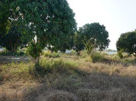  Land for sale in Prachuap Khiri Khan, Thap Tai, Hua Hin, Prachuap Khiri Khan