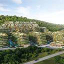 ลายัน เบรเด