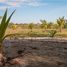  Land for sale in Chiriqui, Boca Chica, San Lorenzo, Chiriqui