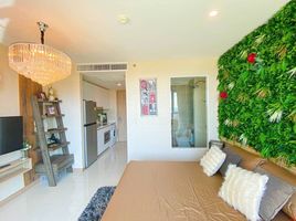 Studio Wohnung zu vermieten im The Riviera Jomtien, Nong Prue, Pattaya, Chon Buri