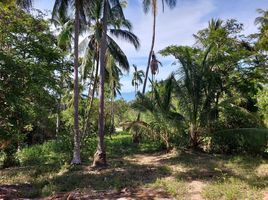  Grundstück zu verkaufen in Koh Samui, Surat Thani, Maenam