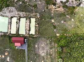  Land for sale in Thalang, Phuket, Thep Krasattri, Thalang