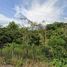  Land for sale in Mueang Chi, Mueang Lamphun, Mueang Chi