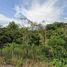  Land for sale in Mueang Lamphun, Lamphun, Mueang Chi, Mueang Lamphun