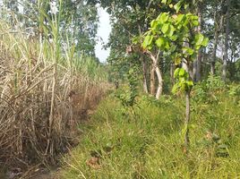  Grundstück zu verkaufen in Kuchinarai, Kalasin, Bua Khao, Kuchinarai, Kalasin