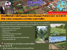  Land for sale in AsiaVillas, Khlong Muang, Pak Chong, Nakhon Ratchasima, Thailand