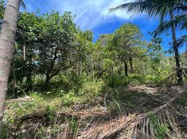  Land for sale in Koh Samui Secret Falls, Bo Phut, Bo Phut