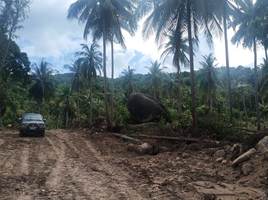  Grundstück zu verkaufen in Ko Pha-Ngan, Surat Thani, Ko Pha-Ngan, Ko Pha-Ngan