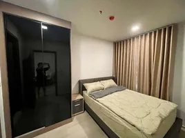 1 Schlafzimmer Wohnung zu vermieten im Life Phahon-Ladprao, Chatuchak