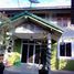 6 Schlafzimmer Haus zu verkaufen in Mueang Loei, Loei, Kut Pong