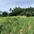  Land for sale in Thep Krasattri, Phuket, Thep Krasattri, Thalang