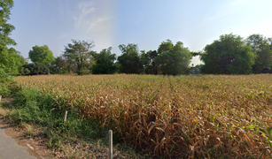 N/A Land for sale in Doem Bang, Suphan Buri 