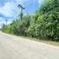  Land for sale in Koh Samui Surat Thani, Maenam