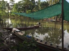  Grundstück zu verkaufen in Mueang Surat Thani, Surat Thani, Bang Sai