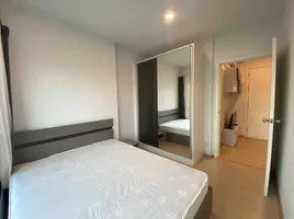 1 Schlafzimmer Wohnung zu verkaufen im The Tree Sukhumvit 71-Ekamai, Suan Luang, Suan Luang