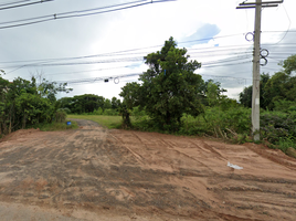  Grundstück zu verkaufen in Wapi Pathum, Maha Sarakham, Nong Saeng, Wapi Pathum, Maha Sarakham