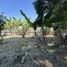  Land for sale in Pattaya Chon Buri, Nong Prue