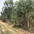  Land for sale in Nakhon Ratchasima, Hua Thale, Mueang Nakhon Ratchasima, Nakhon Ratchasima