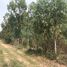  Land for sale in Mueang Nakhon Ratchasima, Nakhon Ratchasima, Hua Thale, Mueang Nakhon Ratchasima